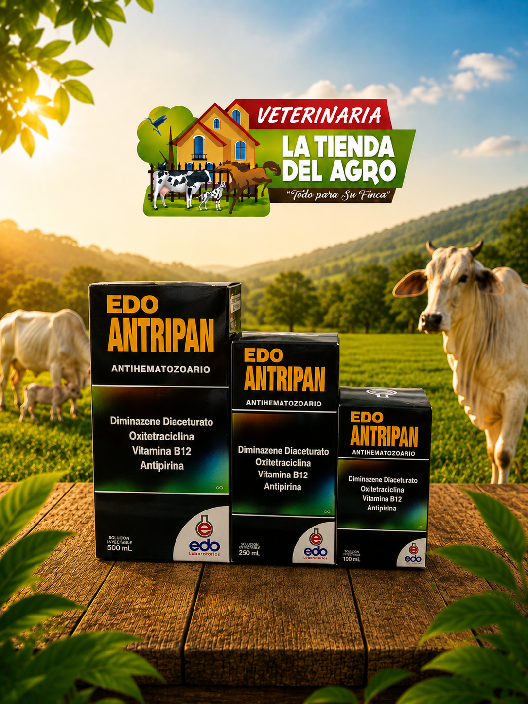 EDO ANTRIPAN